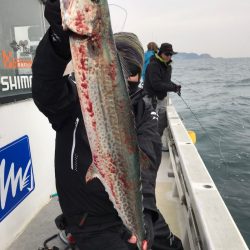 ランスルー 釣果