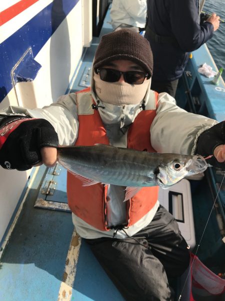 ヤザワ渡船 釣果