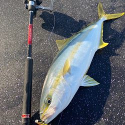 あみや渡船 JIGBOY 釣果