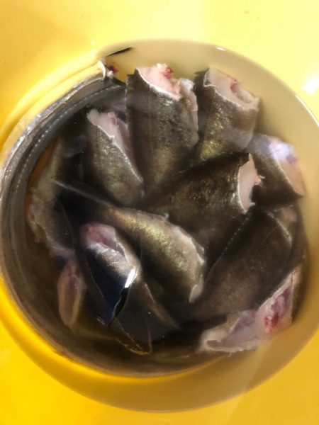 Ｖ−７ West 釣果