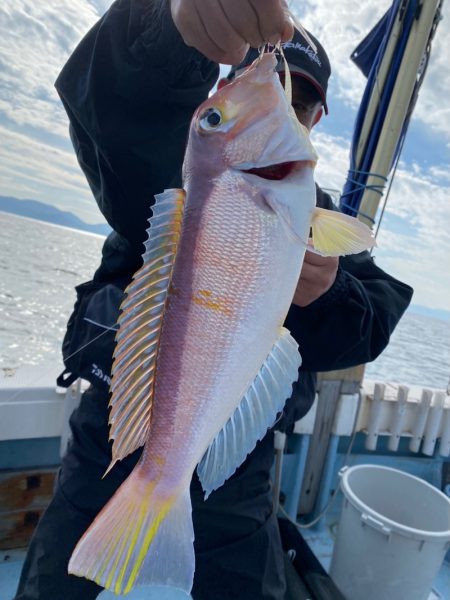 あみや渡船 JIGBOY 釣果