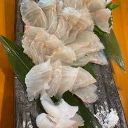 龍神丸（鹿児島） 釣果