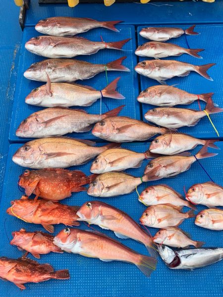 釣鯛洋 釣果