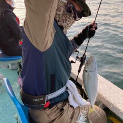 ヤザワ渡船 釣果