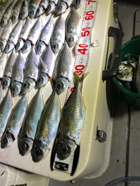 Monster Rush! 釣果