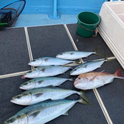 Monster Rush! 釣果