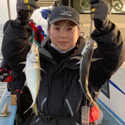 ヤザワ渡船 釣果