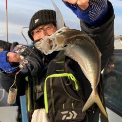 ヤザワ渡船 釣果