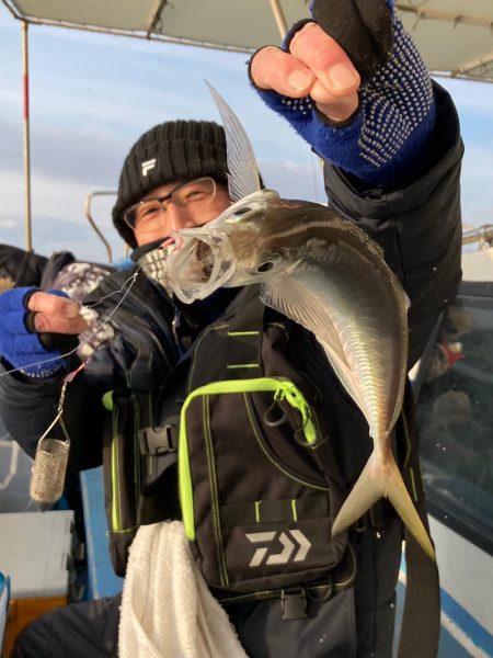 ヤザワ渡船 釣果