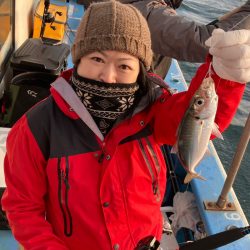 ヤザワ渡船 釣果