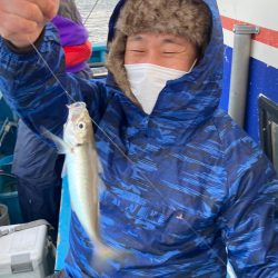 ヤザワ渡船 釣果