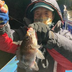 ヤザワ渡船 釣果