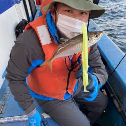 ヤザワ渡船 釣果