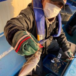 ヤザワ渡船 釣果