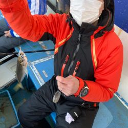 ヤザワ渡船 釣果