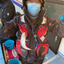 ヤザワ渡船 釣果