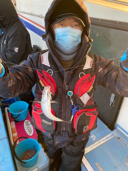 ヤザワ渡船 釣果