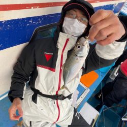 ヤザワ渡船 釣果