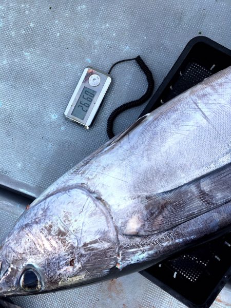 渡船屋たにぐち 釣果