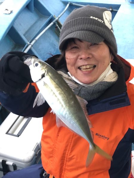 ヤザワ渡船 釣果