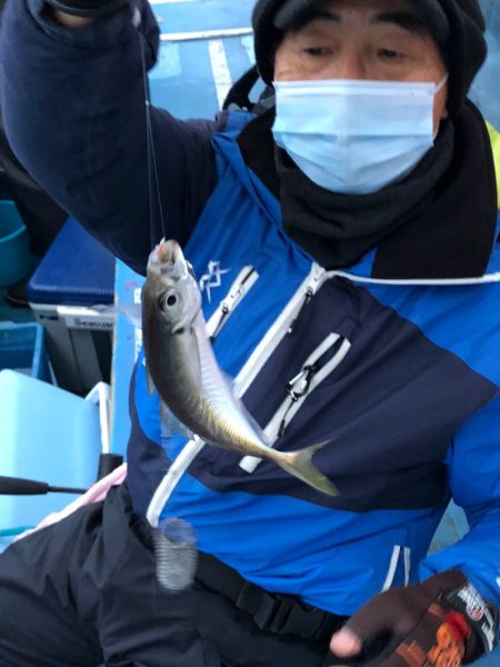 ヤザワ渡船 釣果