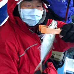 ヤザワ渡船 釣果