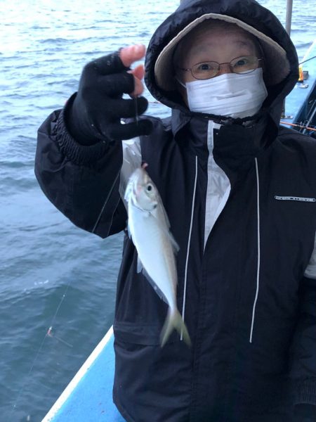 ヤザワ渡船 釣果