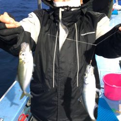 ヤザワ渡船 釣果