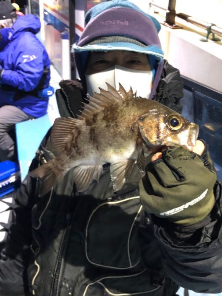 ヤザワ渡船 釣果