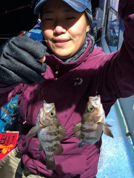 ヤザワ渡船 釣果