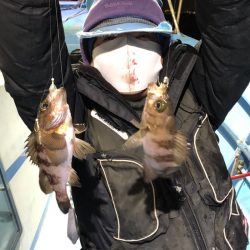 ヤザワ渡船 釣果