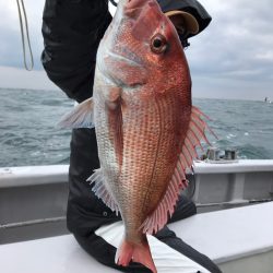 ランスルー 釣果