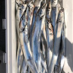 フィッシング キッタカ 釣果