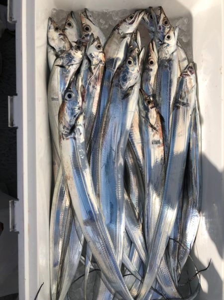 フィッシング キッタカ 釣果