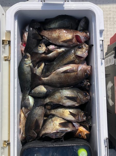 フィッシング　キッタカ 釣果