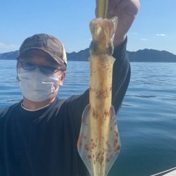 あみや渡船 JIGBOY 釣果