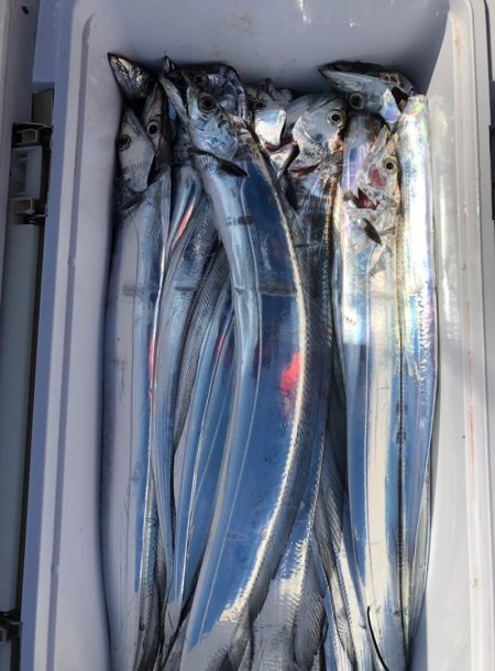 フィッシング　キッタカ 釣果