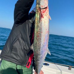 あみや渡船 JIGBOY 釣果