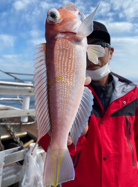 あみや渡船 JIGBOY 釣果