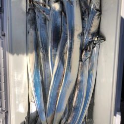 フィッシング キッタカ 釣果