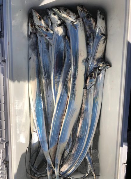 フィッシング キッタカ 釣果