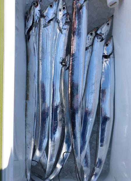 フィッシング　キッタカ 釣果