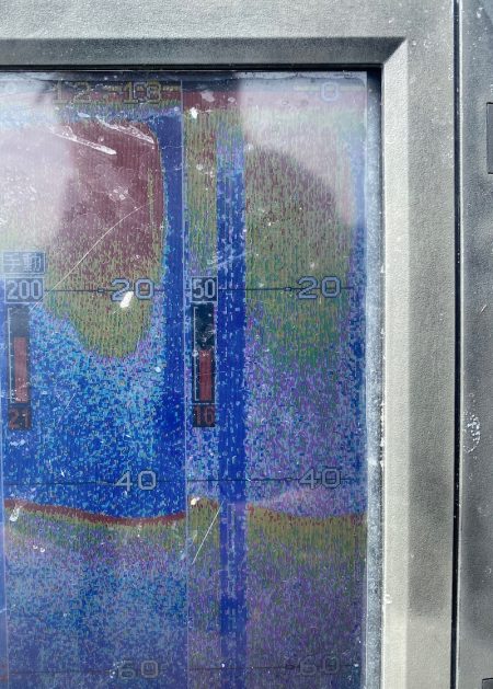 「LaGooN」蒼陽丸 日和号 釣果