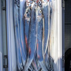 フィッシング キッタカ 釣果