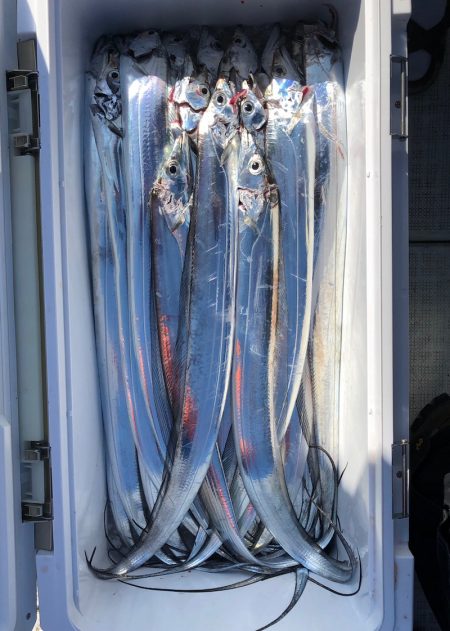 フィッシング キッタカ 釣果