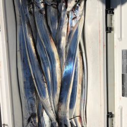 フィッシング キッタカ 釣果