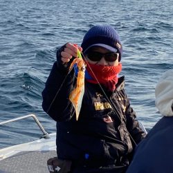 「LaGooN」蒼陽丸 日和号　 釣果