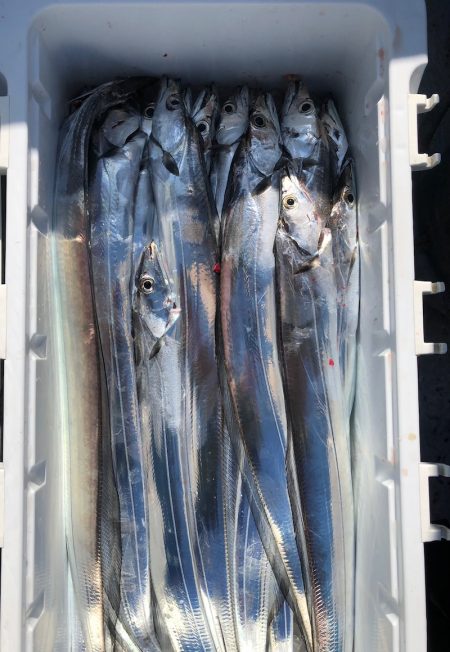 フィッシング　キッタカ 釣果