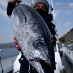渡船屋たにぐち 釣果