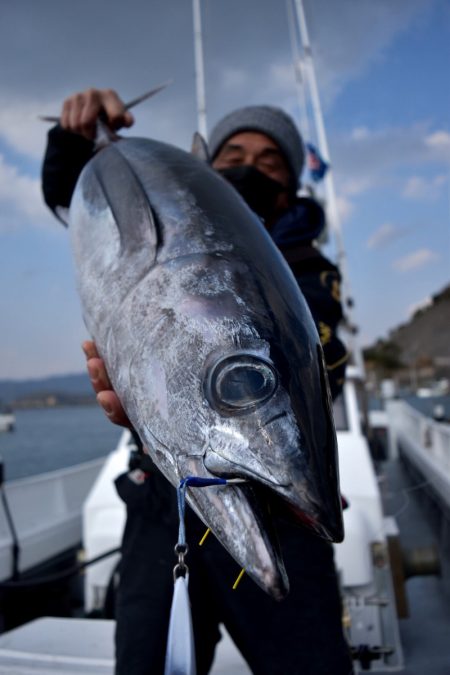 渡船屋たにぐち 釣果